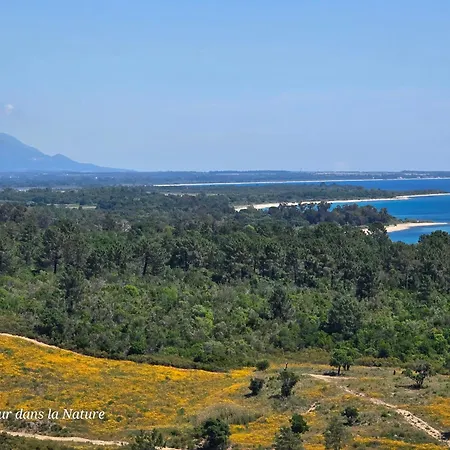 公寓 L'appart De Vanille 萨里索伦札拉