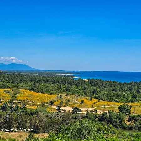 L'appart De Vanille 萨里索伦札拉