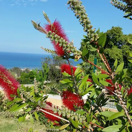 アパート L'appart De Vanille