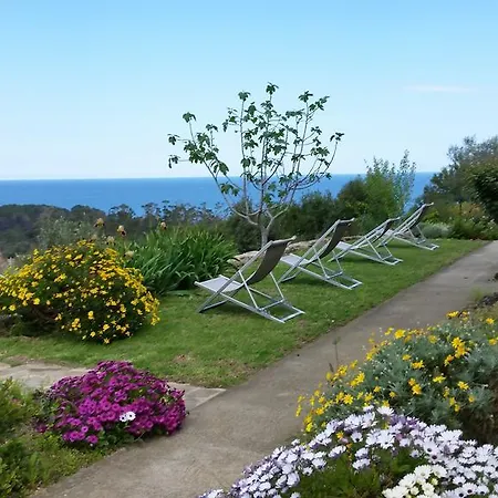 アパート L'appart De Vanille サリ・ソランザラ