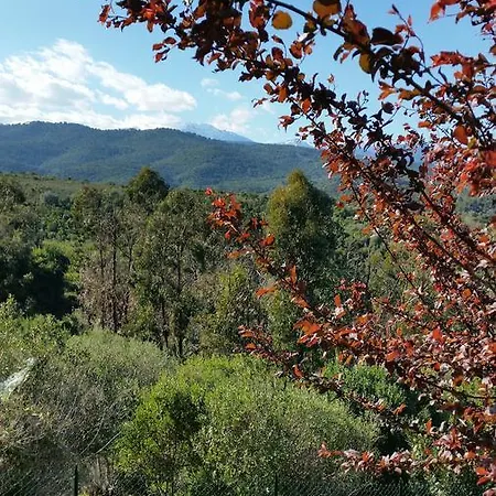 アパート L'appart De Vanille サリ・ソランザラ