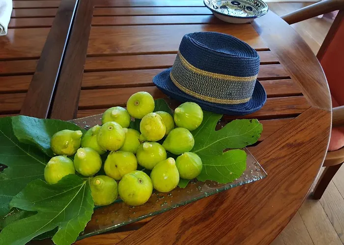 L'appart De Vanille Daire *