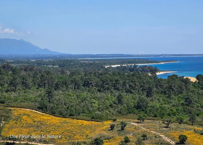 Daire L'appart De Vanille Sari-Solenzara