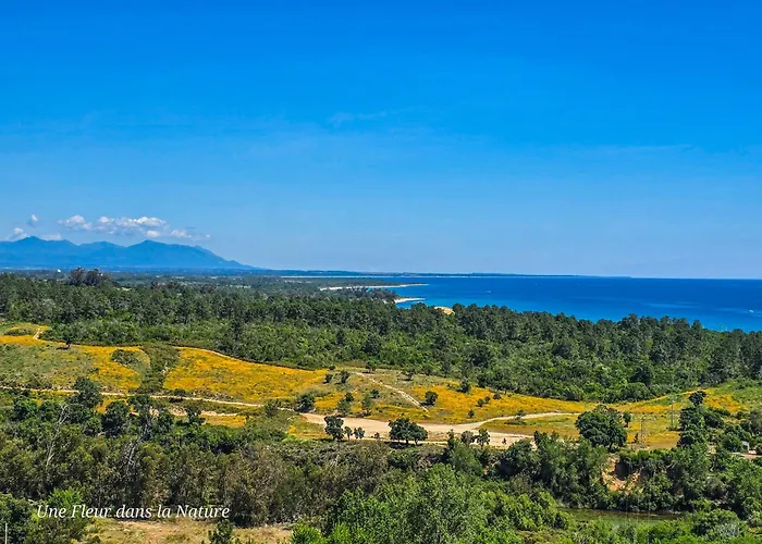 L'appart De Vanille 萨里索伦札拉