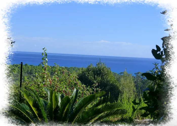 L'appart De Vanille * Sari-Solenzara