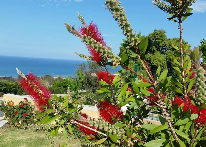 公寓 L'appart De Vanille