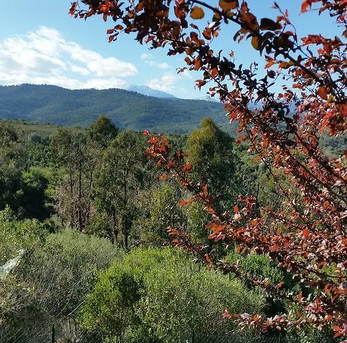 公寓 L'appart De Vanille 萨里索伦札拉